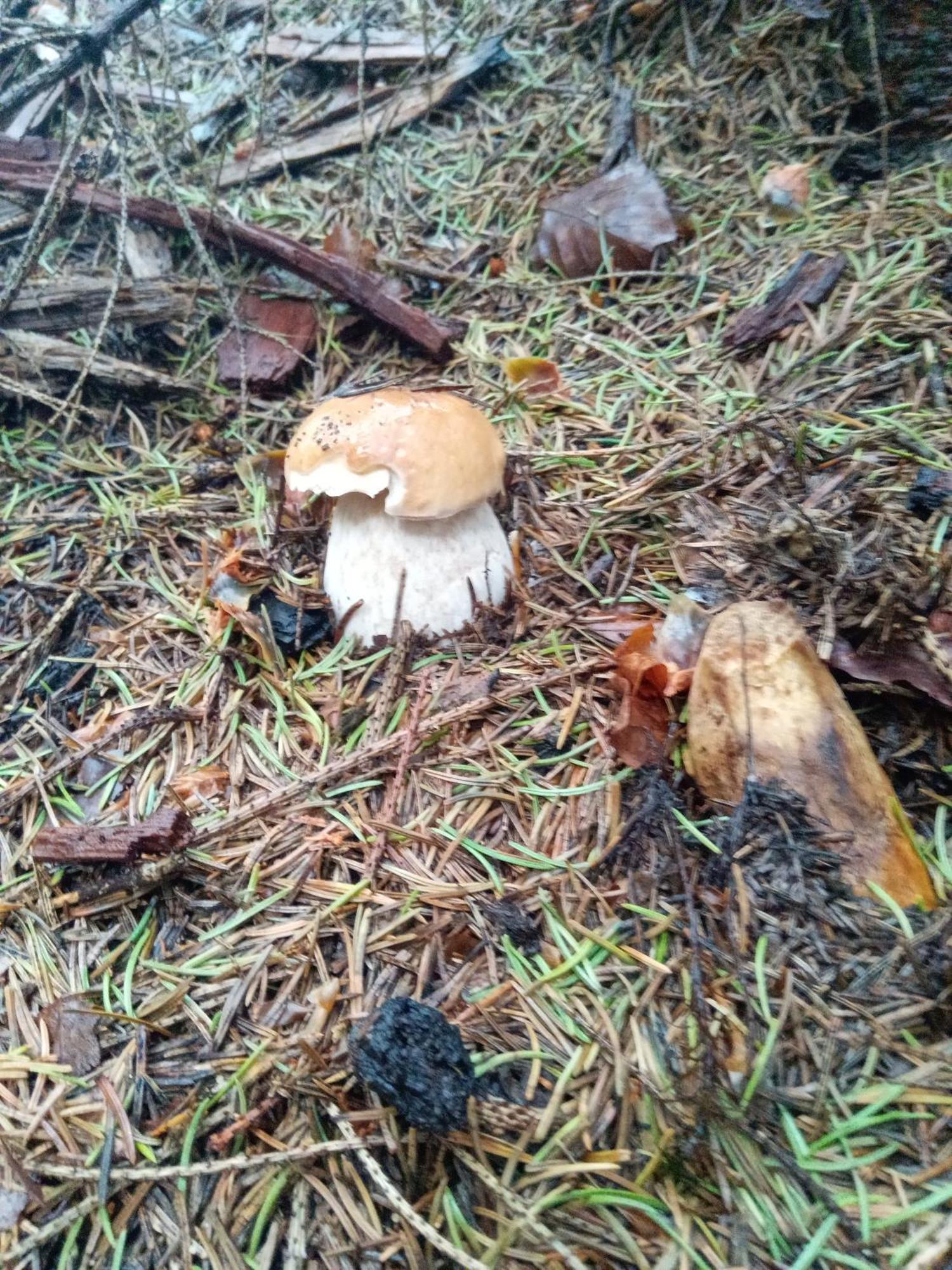 Sadyba U Vani Volovets Esterno foto