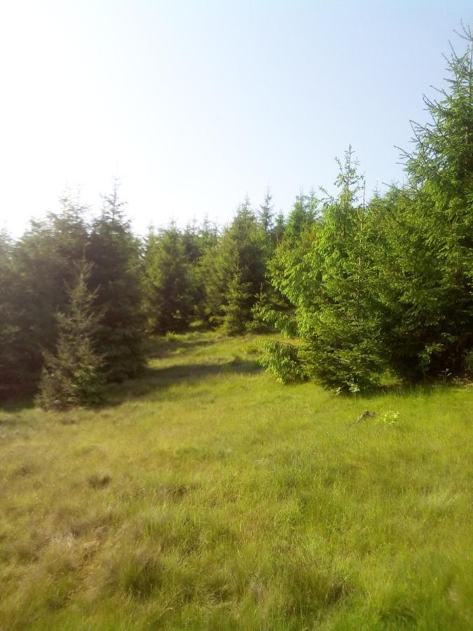 Sadyba U Vani Volovets Esterno foto