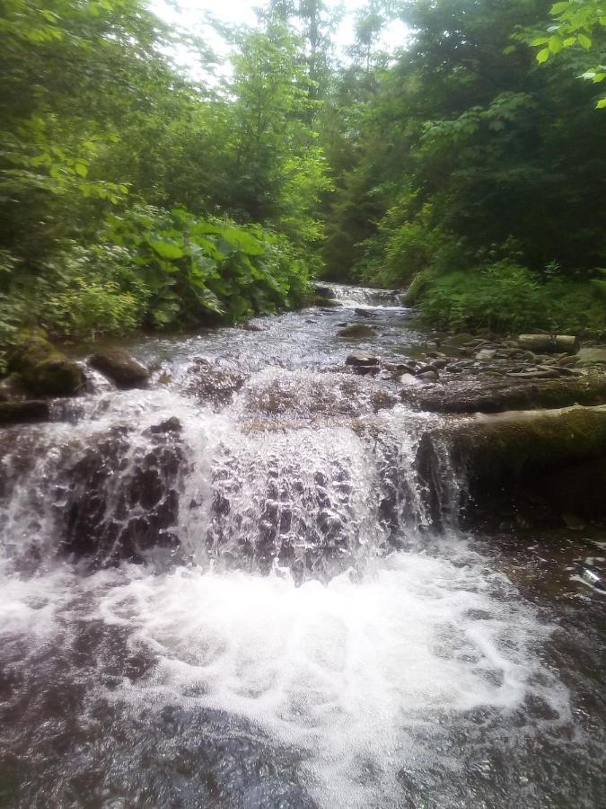 Sadyba U Vani Volovets Esterno foto