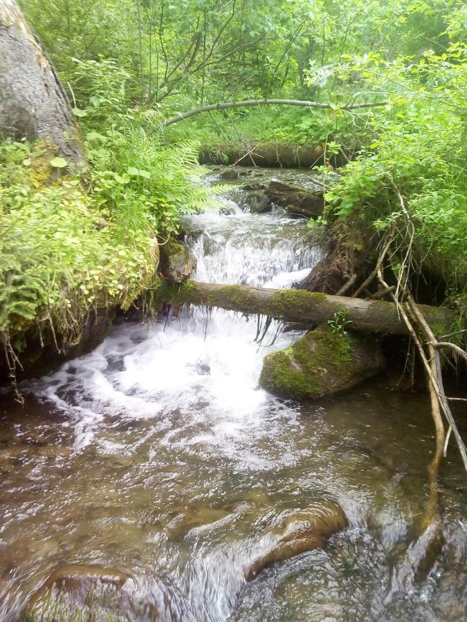 Sadyba U Vani Volovets Esterno foto
