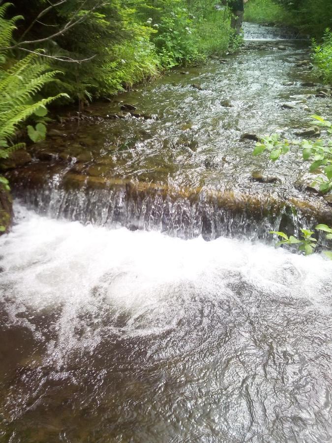 Sadyba U Vani Volovets Esterno foto
