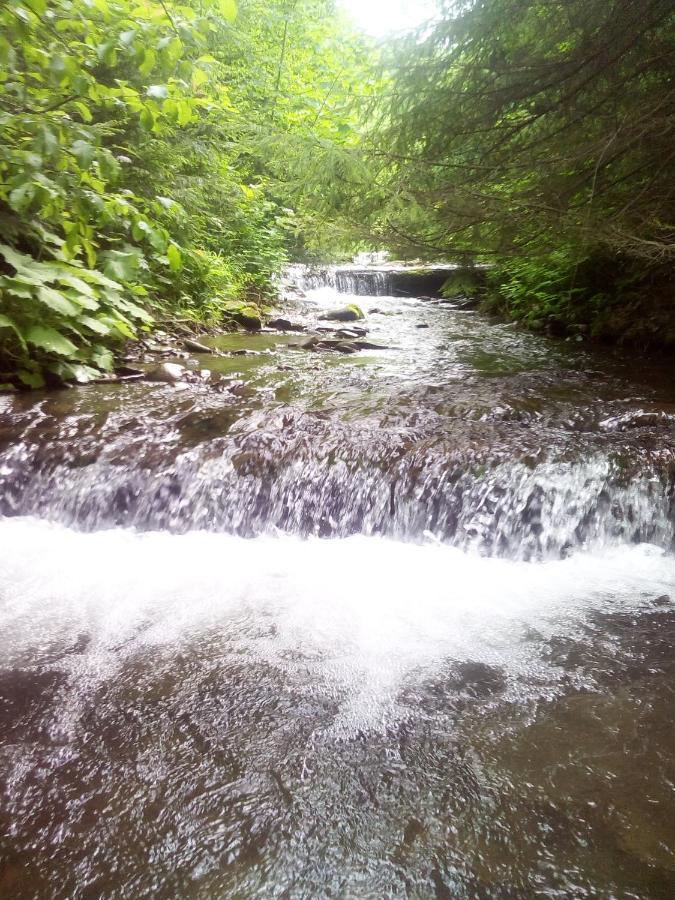 Sadyba U Vani Volovets Esterno foto